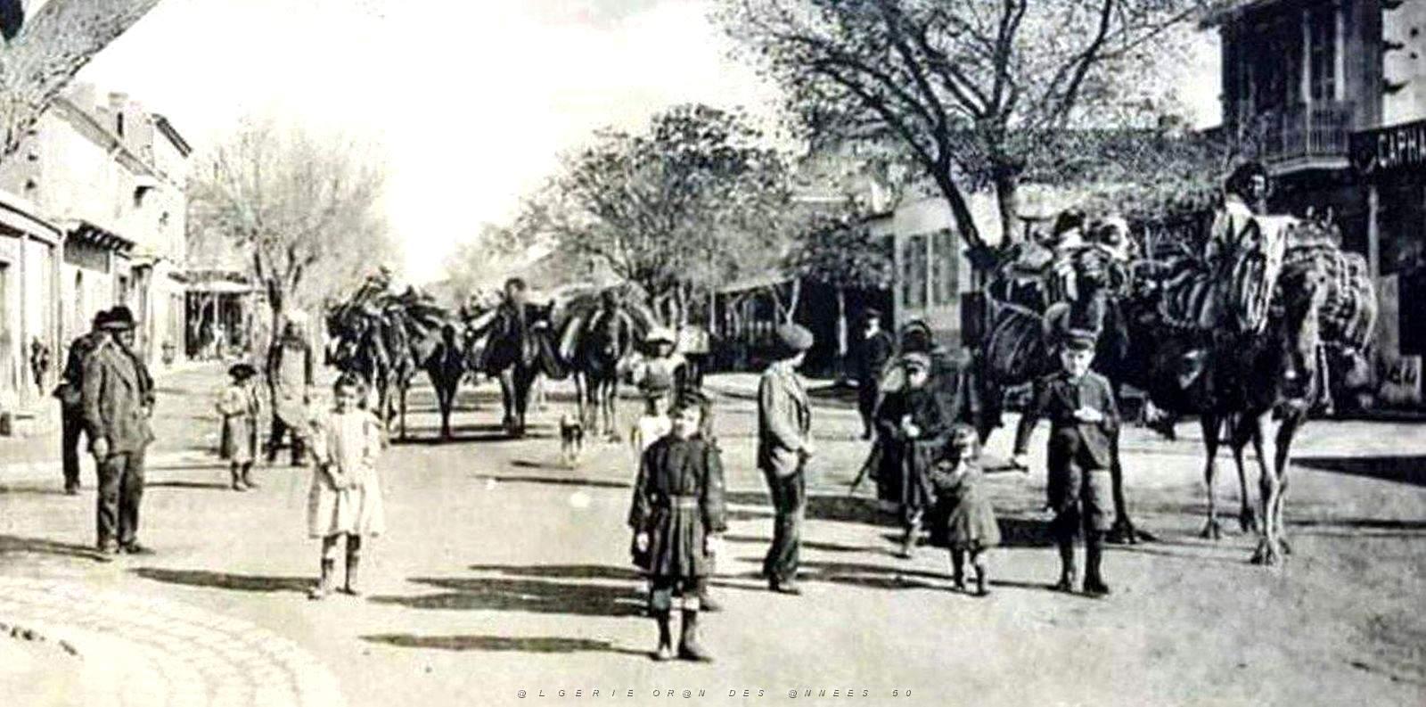 1376- Batna - Avenue de France2.jpg
